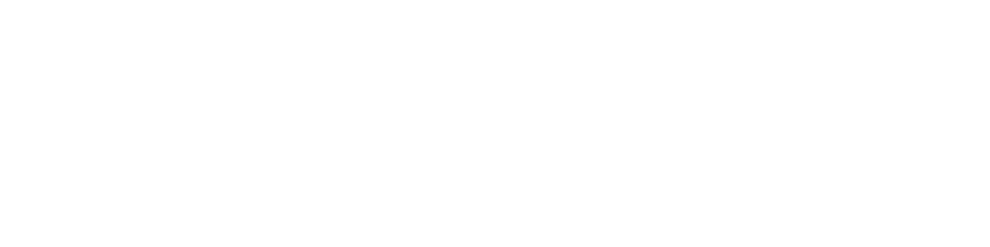 Logo Bruno Böhm
